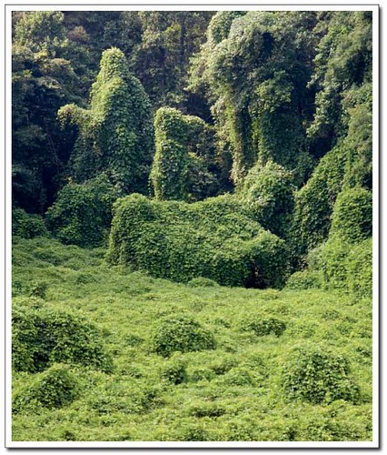 BERJAYA