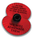 Flanders_poppy