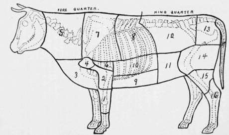 Diagram-of-Beef-Animal-Showing-Principal-Cuts BERJAYA