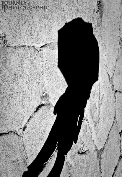 Black and white picture of the shadow of a woman with umbrella, Pompeii, Italy