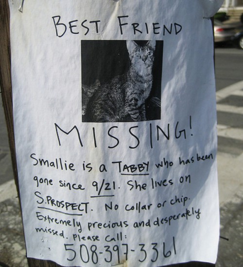 Smallie is Lost Poster BERJAYA