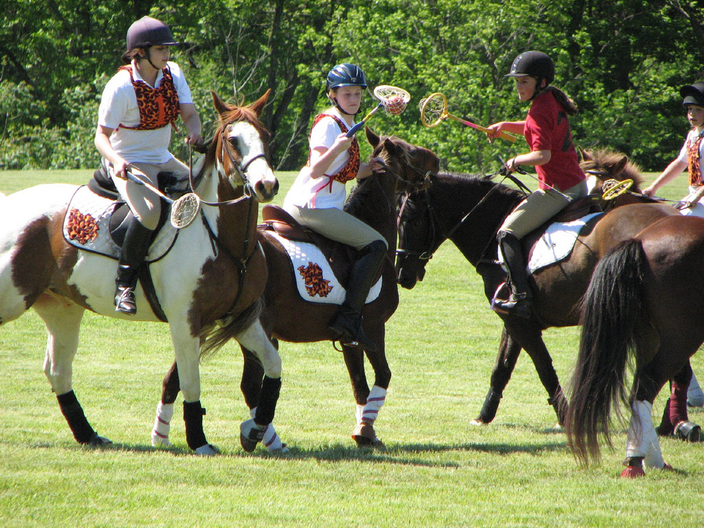 Polocrosse tangle