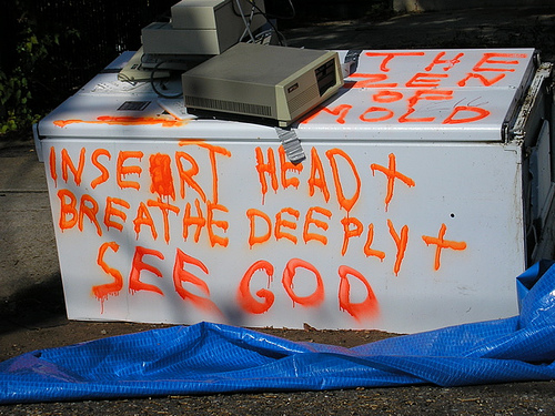 411441407_e69121f254
