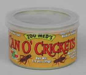 Crickets
