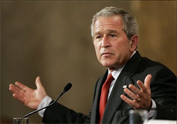 Bushshrug BERJAYA