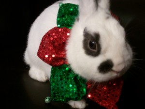 gusxmas BERJAYA