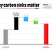 Why carbon sinks matter