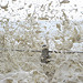 Sea Point Storm