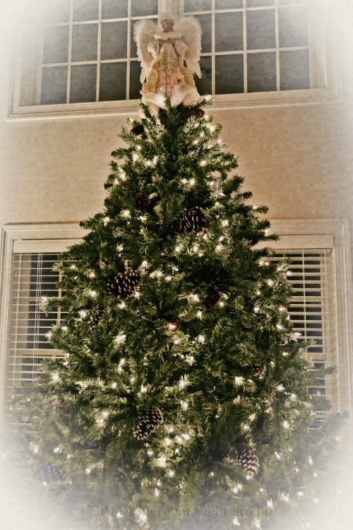 Christmas 2011 Card 1