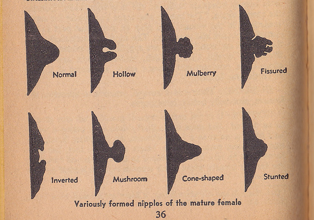 NippleProfiles