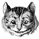 curiouserinstitute