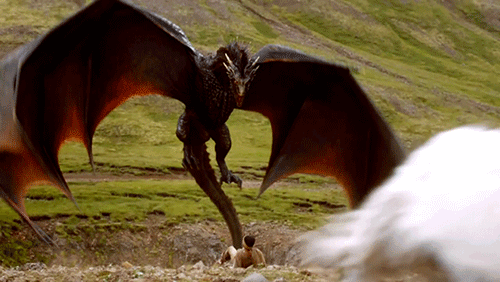 drogon