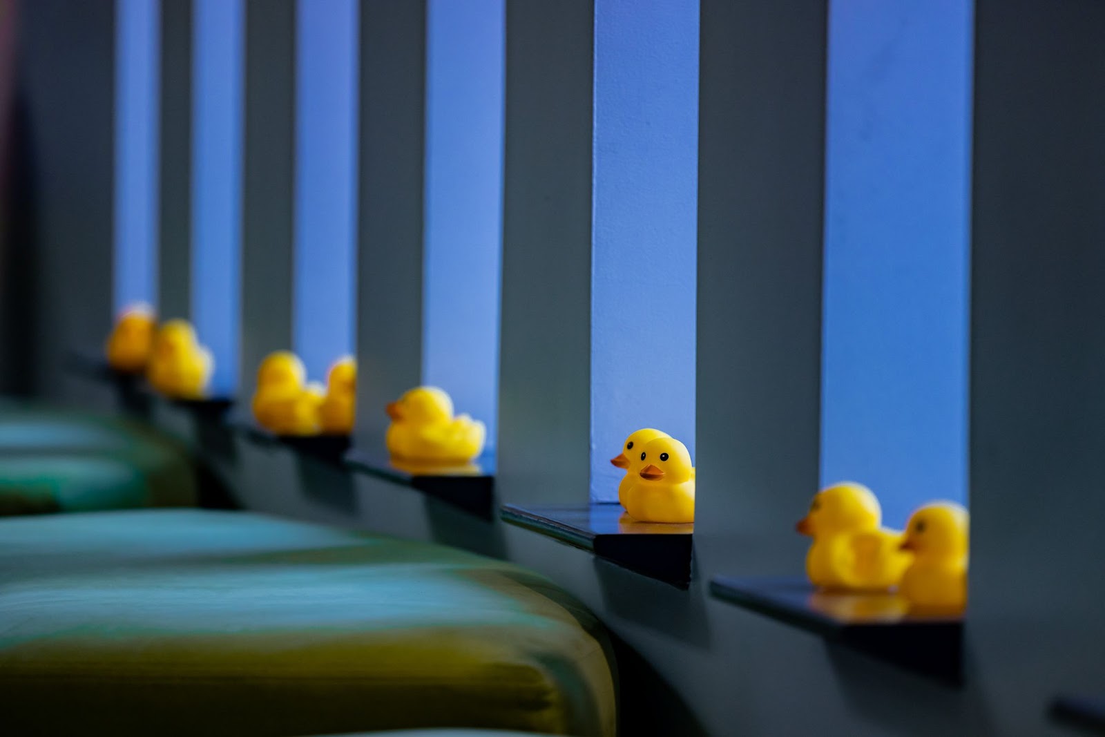 What's with all the ducks?