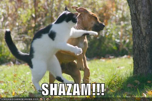 Shazam