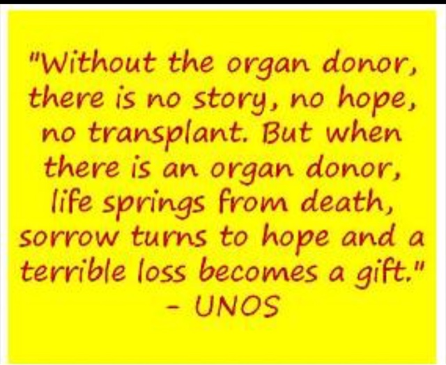 Without the organ Donor there is no story, no hope