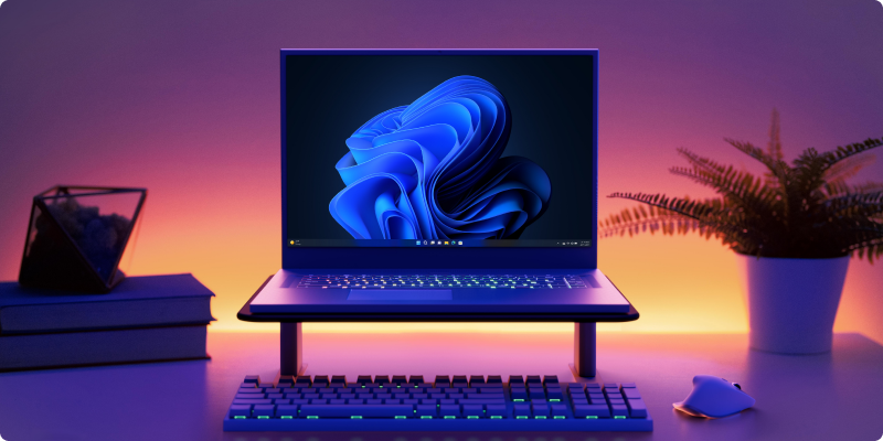 Windows 11 bloom on PC with a keyboard and mouse 