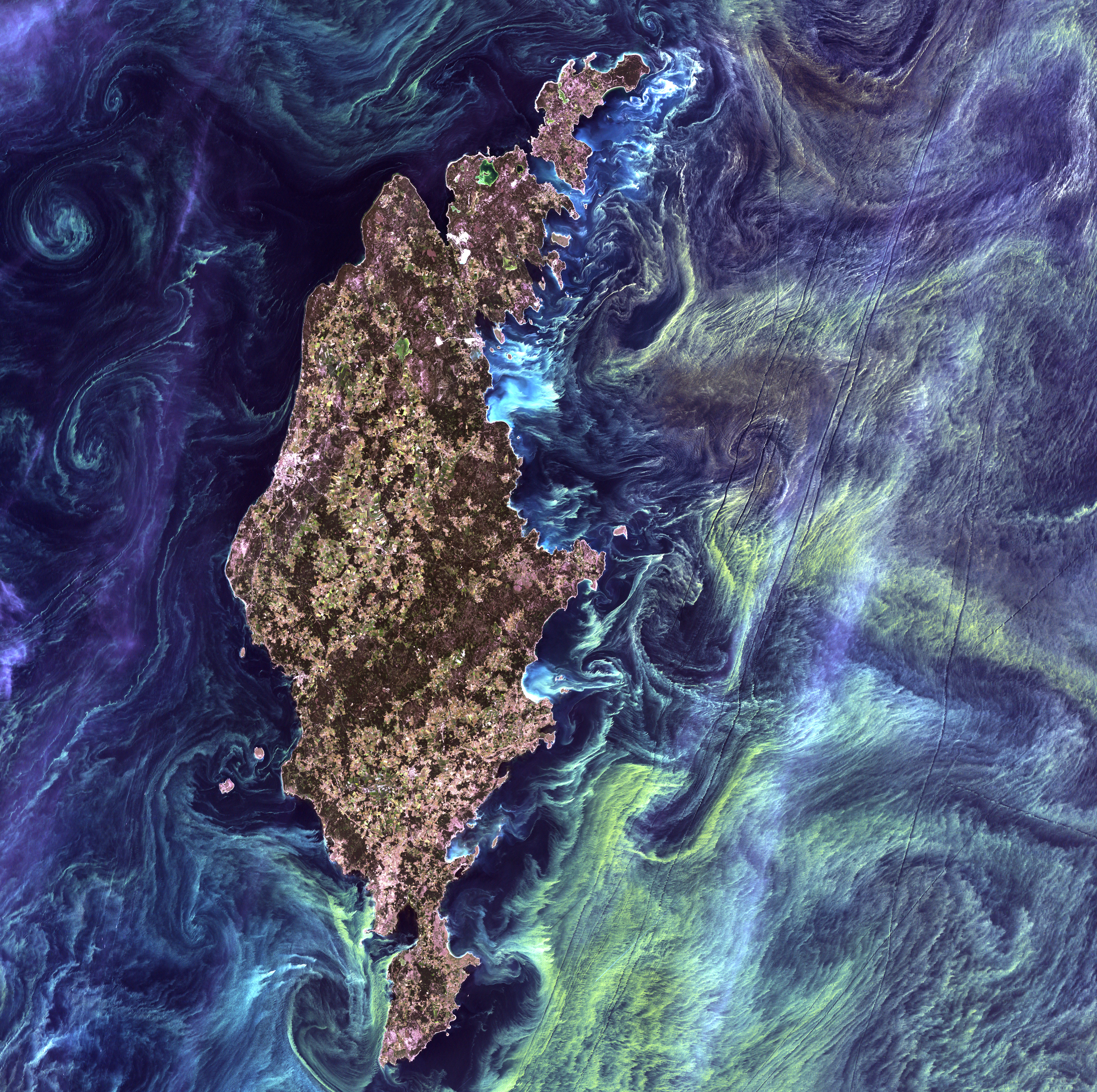 A brown and green island, centered in the middle of the image, surrounded by a dark blue ocean with wispy swirls of greens and teals that illustrate blooms of phytoplankton.