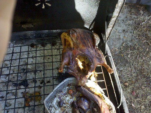 Smoked duck