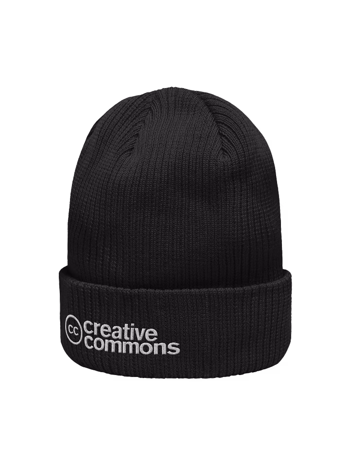 Logo Beanie product image (5)