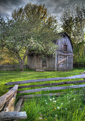 A Quieter Time