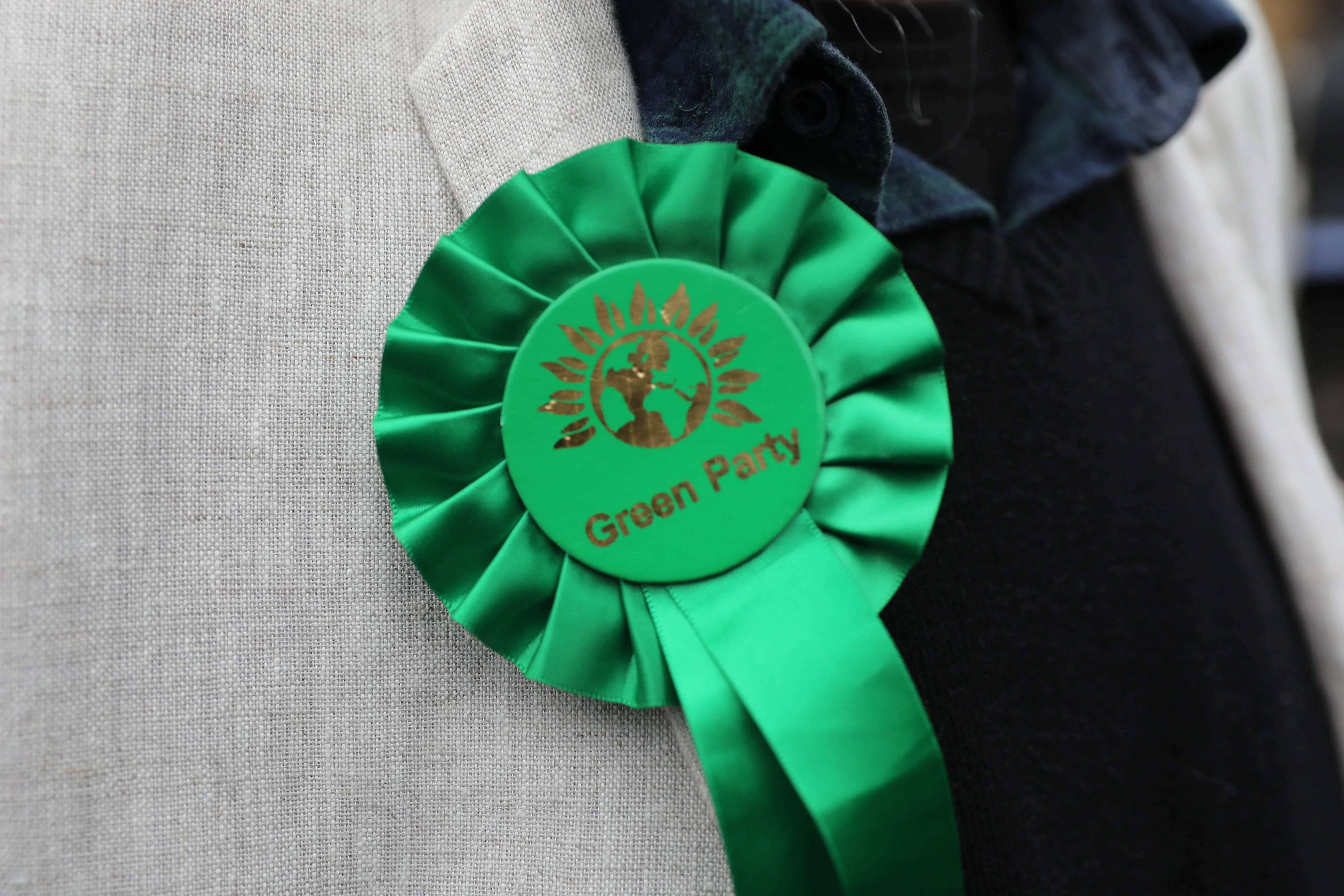 Londoners face £100k bill as FIFTH newly elected Green councillor goes