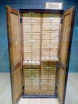 BERJAYA