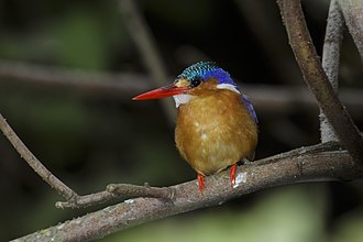 BERJAYA
