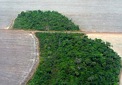 BERJAYA