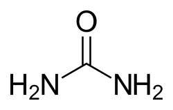 BERJAYA