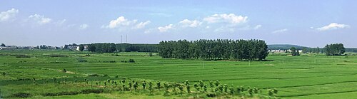 BERJAYA