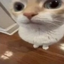 BERJAYA