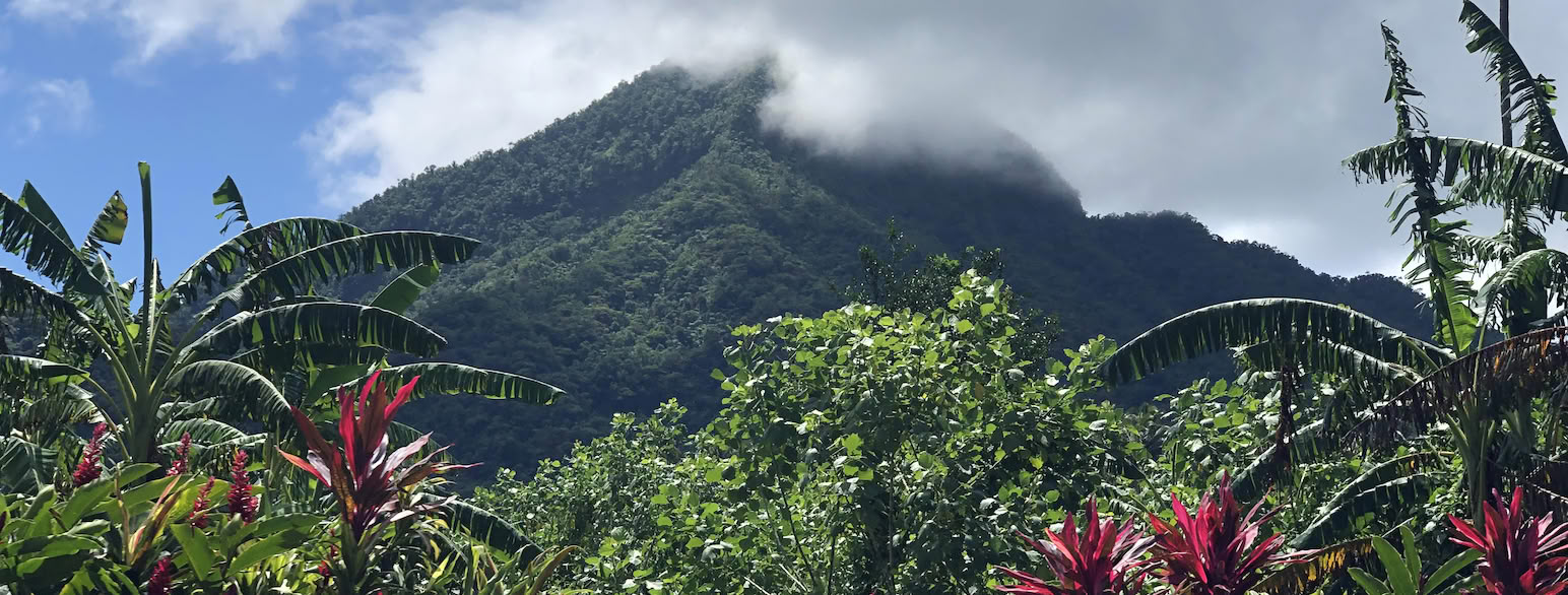 BERJAYA