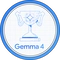 Gemma 4 Challenge Winner Badge