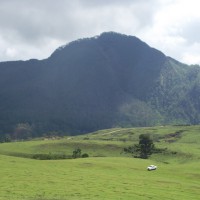 BERJAYA