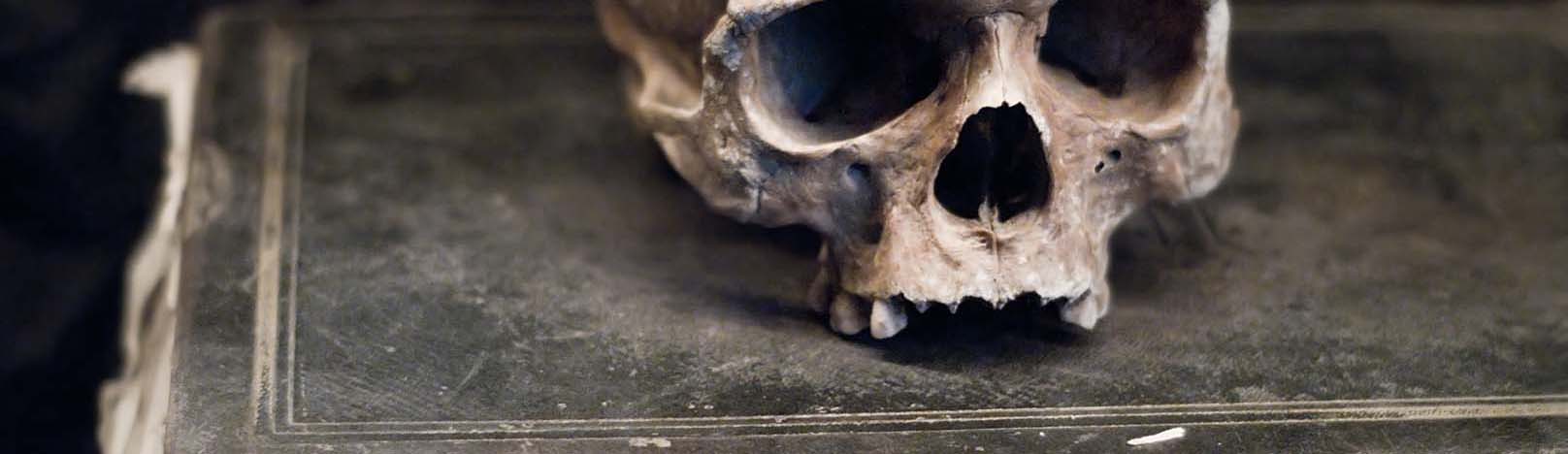 Skull