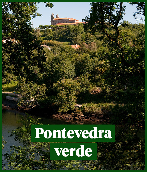Folleto Pv