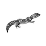 hernanz profile