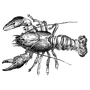 ab23 profile