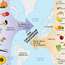 Visualization of the Columbian Exchange. North America. South America. Europe. Asia. Africa.
