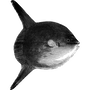BERJAYA