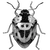 sundarsharma profile image