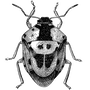 BERJAYA