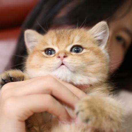 @xiaoya-yaya