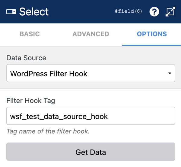 WS Form PRO - Data Sources - WordPress Filter Hook
